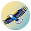 Alta en el cielo un águila guerrera